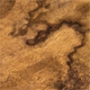Walnut burl satin