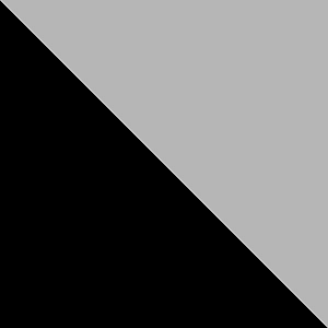 Black/Silver