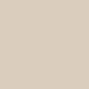 Sand Shell