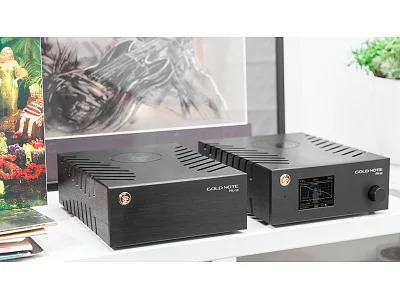 GOLD NOTE PSU-10