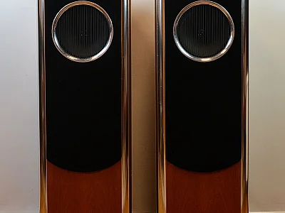 TANNOY TANNOY DIMENSION TD8