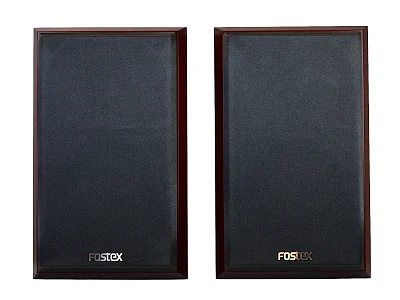 Fostex FOSTEX GX100MA