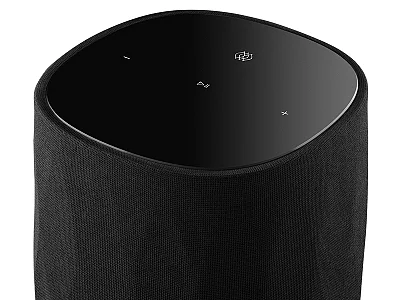 BOWERS & WILKINS FORMATION FLEX