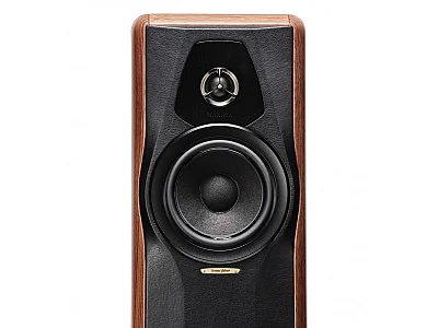 SONUS FABER MAXIMA AMATOR