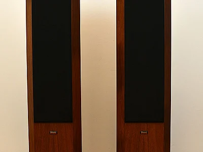 Dynaudio DYNAUDIO FACETTE