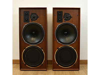 CELESTION DITTON 25