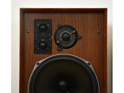 CELESTION DITTON 25