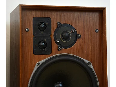 CELESTION DITTON 25