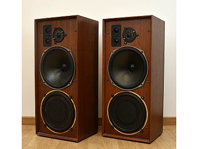 CELESTION DITTON 25