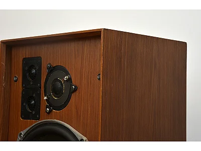 CELESTION DITTON 25