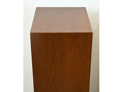 CELESTION DITTON 25
