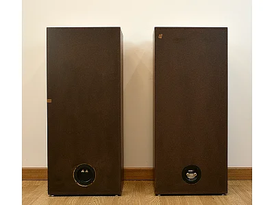 CELESTION DITTON 25