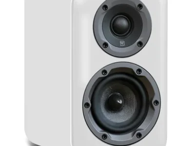 WHARFEDALE WHARFEDALE D310