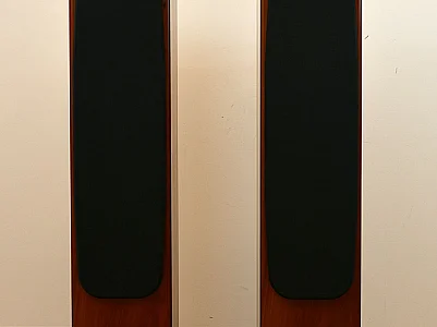 Monitor Audio MONITOR AUDIO GS20