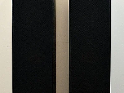 Klipsch KLIPSCH R-820F