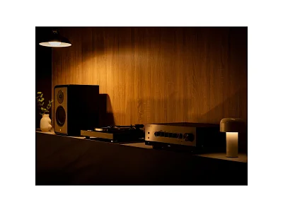 YAMAHA TT-S303 YAMAHA TT-S303