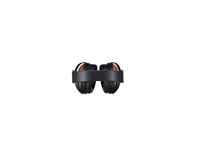 FOSTEX TH808 FOSTEX TH808