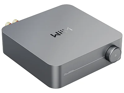 WIIM AMP