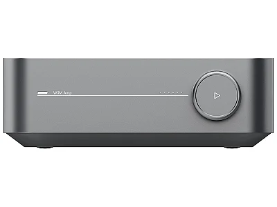 WIIM AMP