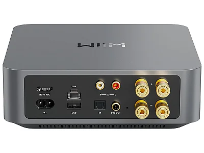 WIIM AMP