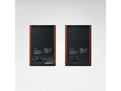 TECHNICS SC-CX700