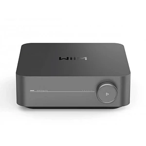 Wiim WIIM AMP PRO