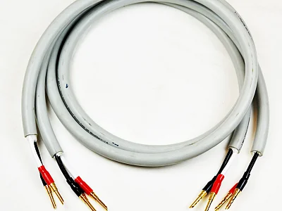 Monster Cable MONSTER CABLE 1.5 MT. (L+R)