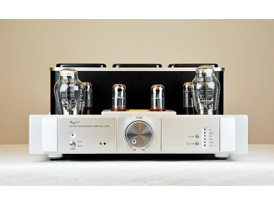 Cayin CAYIN A-300B