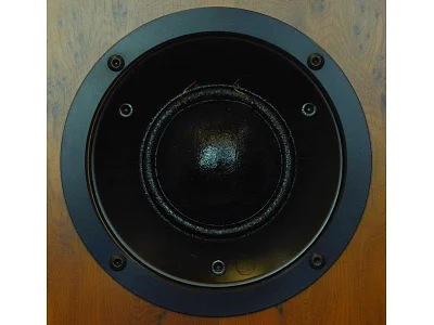 PROAC RESPONSE FIVE