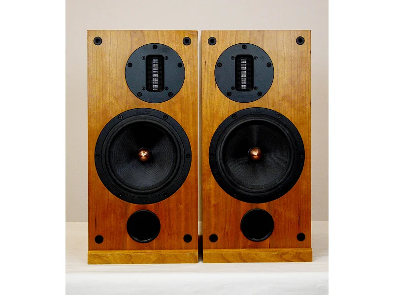 Proac PROAC RESPONSE D2 R