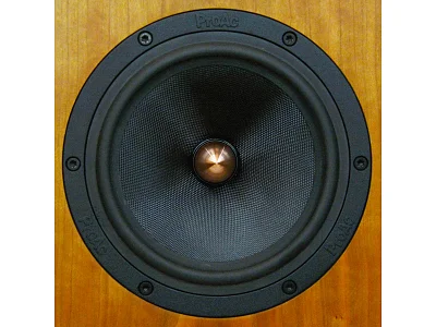 PROAC RESPONSE D2 R