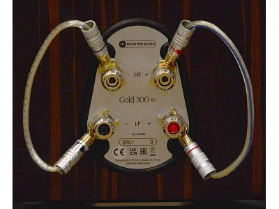 MONITOR AUDIO GOLD 300 6G