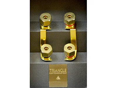 TRIANGLE GENESE QUARTET