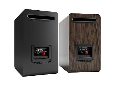 ACOUSTIC ENERGY AE 100 MK2