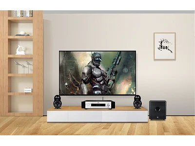 TONEWINNER AD-66D