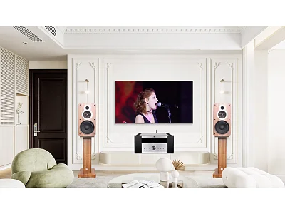 TONEWINNER AD-99D