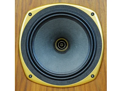 TANNOY STIRLING SE