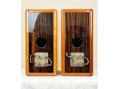 AM AUDIO ELITE EBANO