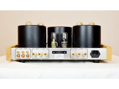 CONSONANCE M100S PLUS