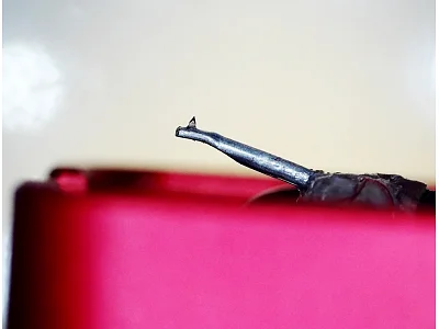 ALLNIC ROSE ALLNIC ROSE