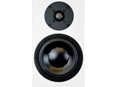 TOTEM FOREST TOTEM FOREST