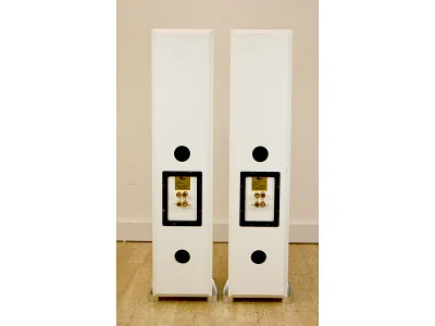 TOTEM FOREST TOTEM FOREST