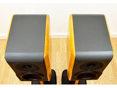 CHARIO CONTELLATION DELPHINUS