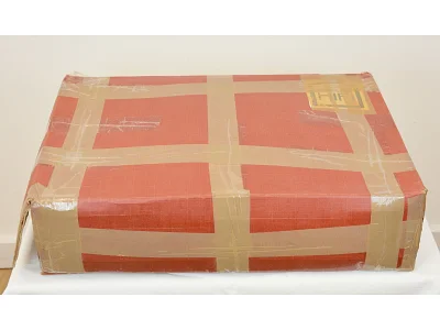 CHARIO CONTELLATION DELPHINUS