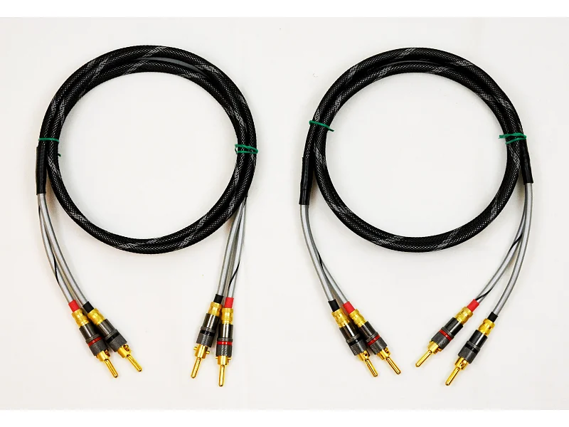 Audio Note AUDIO NOTE AN-SP 1.5 MT. (L+R)