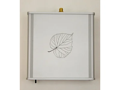 LINDEMANN LIMETREE BRIDGE II