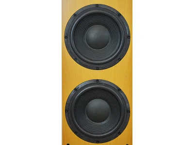 JBL XTI 100 JBL XTI 100