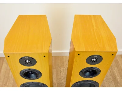 JBL XTI 100 JBL XTI 100