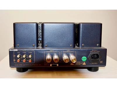 CAYIN MT-12N CAYIN MT-12N