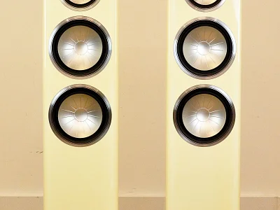 Monitor Audio MONITOR AUDIO GOLD GX 300